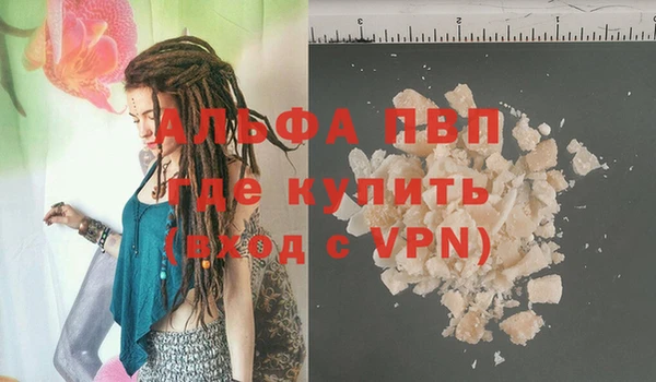 стафф Алексин