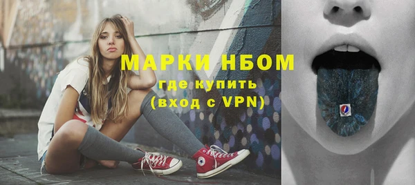 стафф Алексин