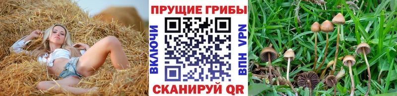 Галлюциногенные грибы GOLDEN TEACHER  Алексин 