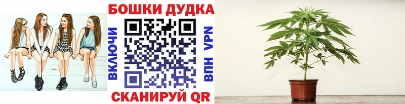 Бошки марихуана ГИДРОПОН Алексин